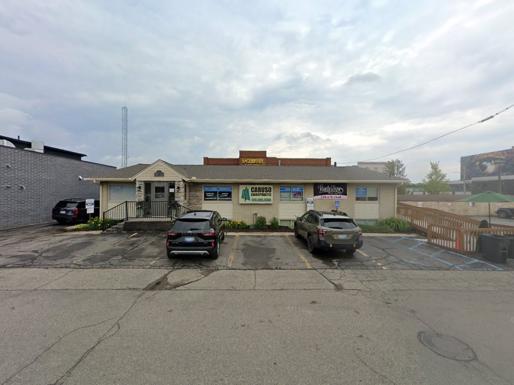 Bradley A. Sabo, DC in Lake Orion