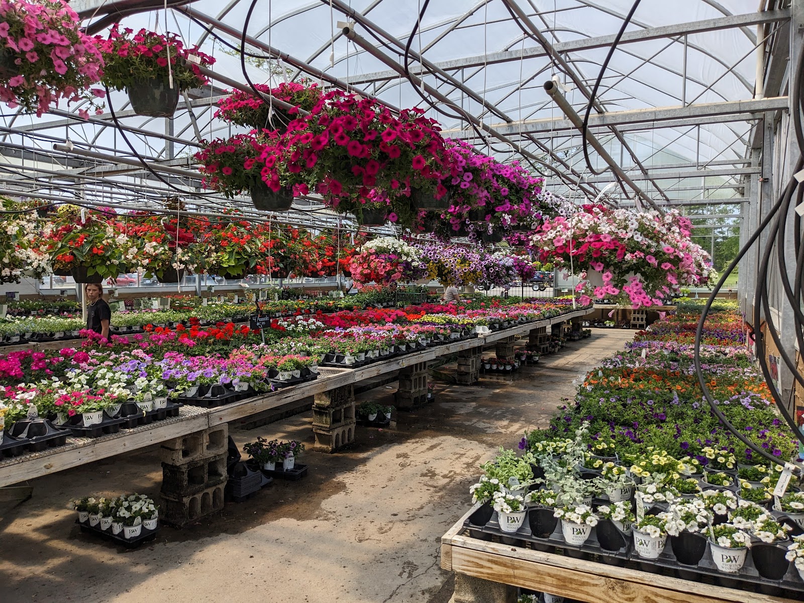 Fogler’s Greenhouse — photo