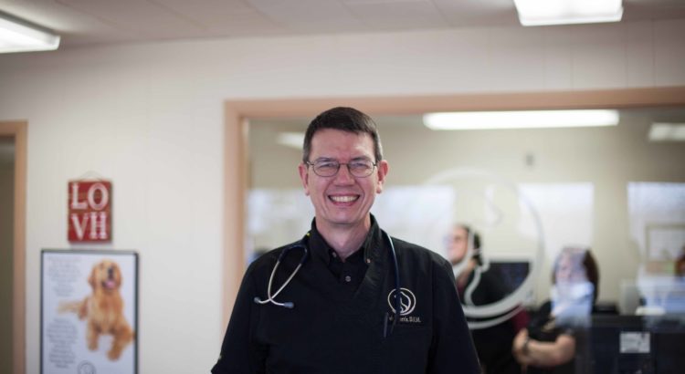 Lake Orion Veterinary Hospital in Lake Orion