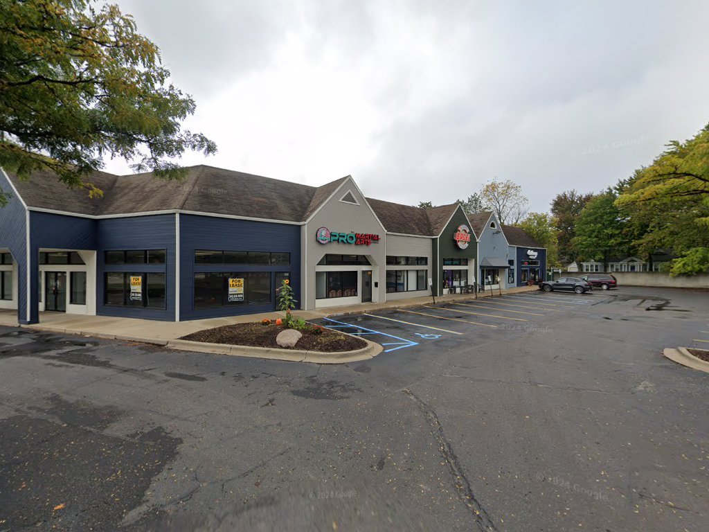 Pro Martial Arts in Lake Orion