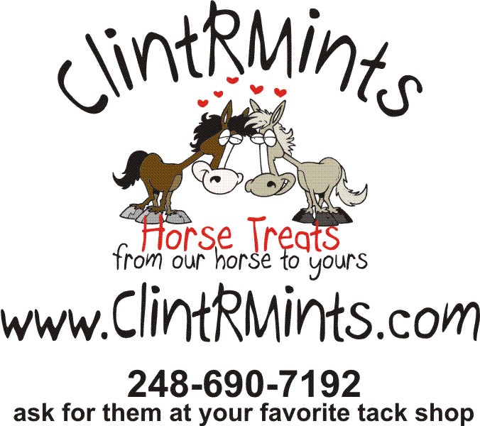 The ClintRMint Company Horse Treats — photo